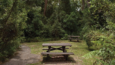 Nymboi-Binderay National Park - New Castle Holiday 3