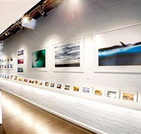 Aquabumps - New Castle Holiday