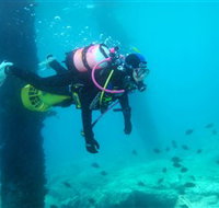 Shellharbour Scuba  Photography Centre - New Castle Holiday