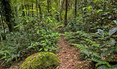 Red Cedar Loop - New Castle Holiday 3