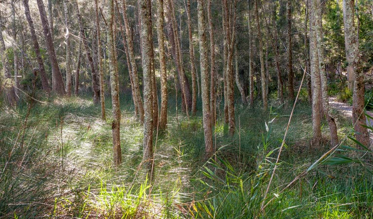Brundee NSW New Castle Holiday