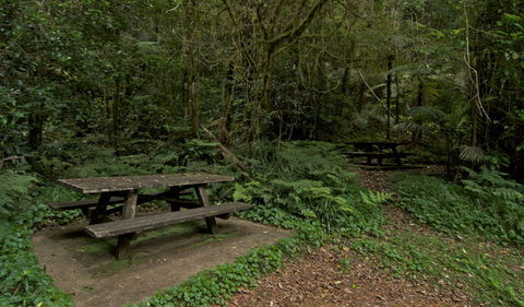 Brindle Creek Picnic Area - New Castle Holiday 2