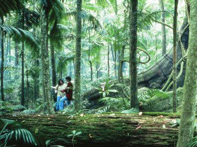 Illinbah Circuit - New Castle Holiday 0