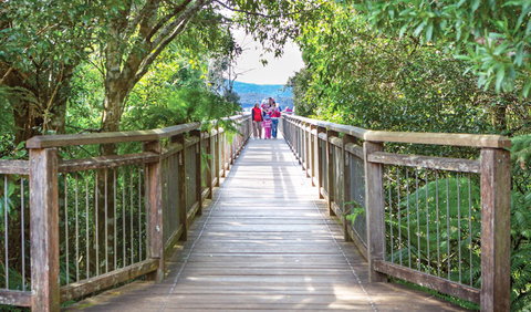 Skywalk Lookout - New Castle Holiday 0