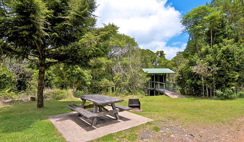 Antarctic Beech Picnic Area - New Castle Holiday 1