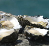 Jim Wilds Oyster Service - New Castle Holiday