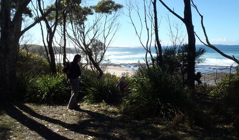 Monument Beach Picnic Area - New Castle Holiday 2