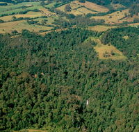Boorganna Nature Reserve - New Castle Holiday