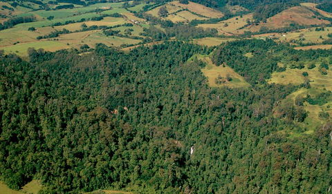 Boorganna Nature Reserve - New Castle Holiday 0