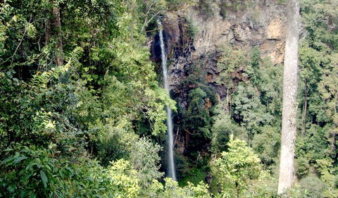 Boorganna Nature Reserve - New Castle Holiday 2