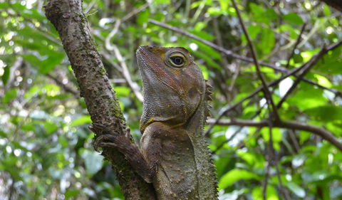 Boorganna Nature Reserve - New Castle Holiday 3