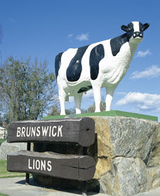Brunswick Cow - New Castle Holiday 0