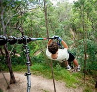 TreeTop Challenge - New Castle Holiday