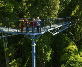 Tamborine Rainforest Skywalk - New Castle Holiday 1