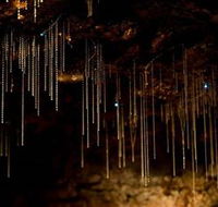 Tamborine Mountain Glow Worm Caves - New Castle Holiday