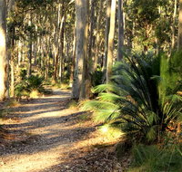 Square Head track 2 - New Castle Holiday