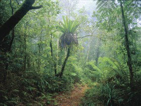 Wagawn - New Castle Holiday 0