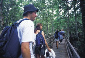 Wagawn - New Castle Holiday 1