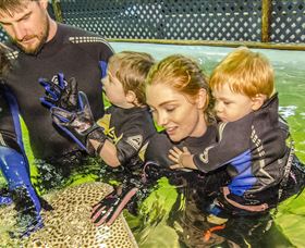 One Mile Beach NSW New Castle Holiday