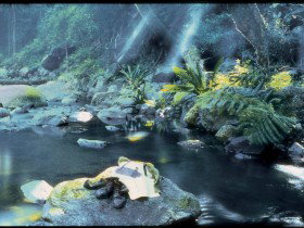 Coomera Circuit - New Castle Holiday 0