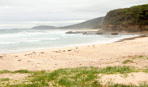 Pretty Beach To Durras Mountain Walking Track - New Castle Holiday 1
