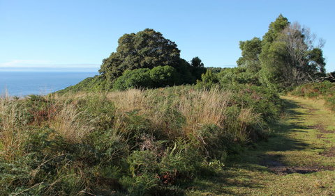 Pretty Beach To Durras Mountain Walking Track - New Castle Holiday 2