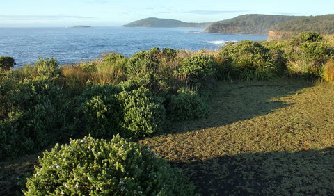Pretty Beach To Durras Mountain Walking Track - New Castle Holiday 3