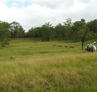 Numinbah Valley Adventure Trails - New Castle Holiday
