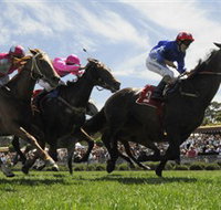 Moruya Racecourse - New Castle Holiday