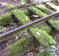 Wootton Historical Railway Walk - New Castle Holiday