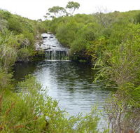 Booderee National Park Green Patch and Telegraph Creek Walking Tracks - New Castle Holiday