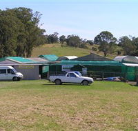 Tinonee Orchid Nursery - New Castle Holiday