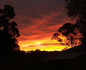 Tinonee Museum - New Castle Holiday 0