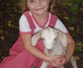 Honeycomb Valley Farm - New Castle Holiday 7