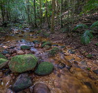 Starrs Creek picnic area - New Castle Holiday