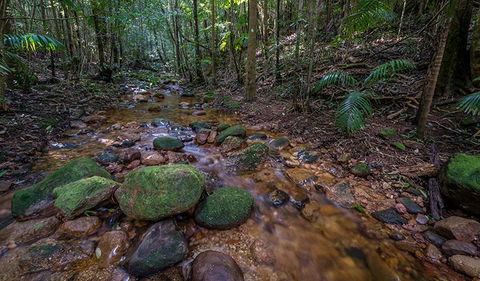 Starrs Creek Picnic Area - New Castle Holiday 0