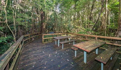 Starrs Creek Picnic Area - New Castle Holiday 1