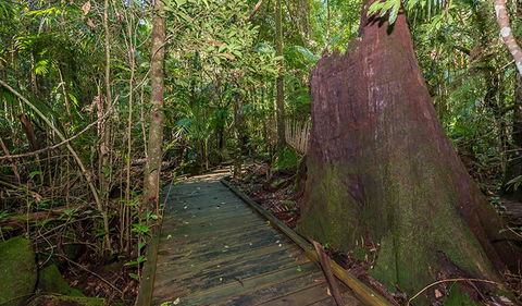 Starrs Creek Picnic Area - New Castle Holiday 2