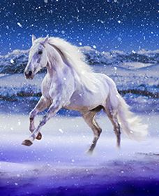 Australian Outback Spectacular: High Country Legends - New Castle Holiday 1