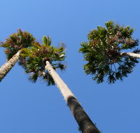 Bindarri National Park - New Castle Holiday