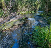 Dawson River walking track - New Castle Holiday