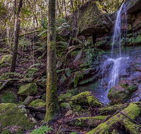 Coorabakh National Park - New Castle Holiday