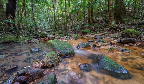 Coorabakh National Park - New Castle Holiday 1