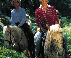 Clarendon Forest Retreat Horse Riding - New Castle Holiday 2
