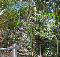 Goorgana walking track - New Castle Holiday