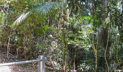 Goorgana Walking Track - New Castle Holiday 0