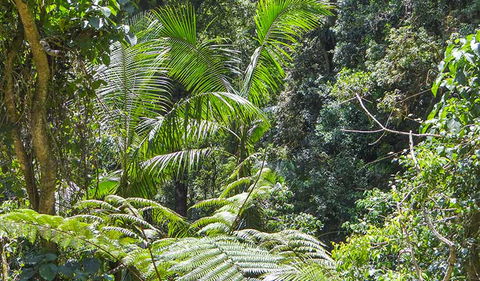 Goorgana Walking Track - New Castle Holiday 1