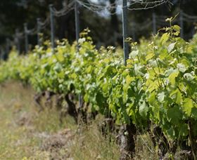 Barton Jones Wines - New Castle Holiday 2