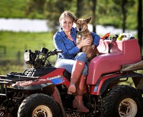 Barton Jones Wines - New Castle Holiday 1