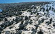 Hamelin Pool Stromatolites - thumb 1